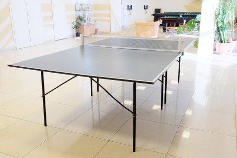 table tennis in beautiful indoor living space